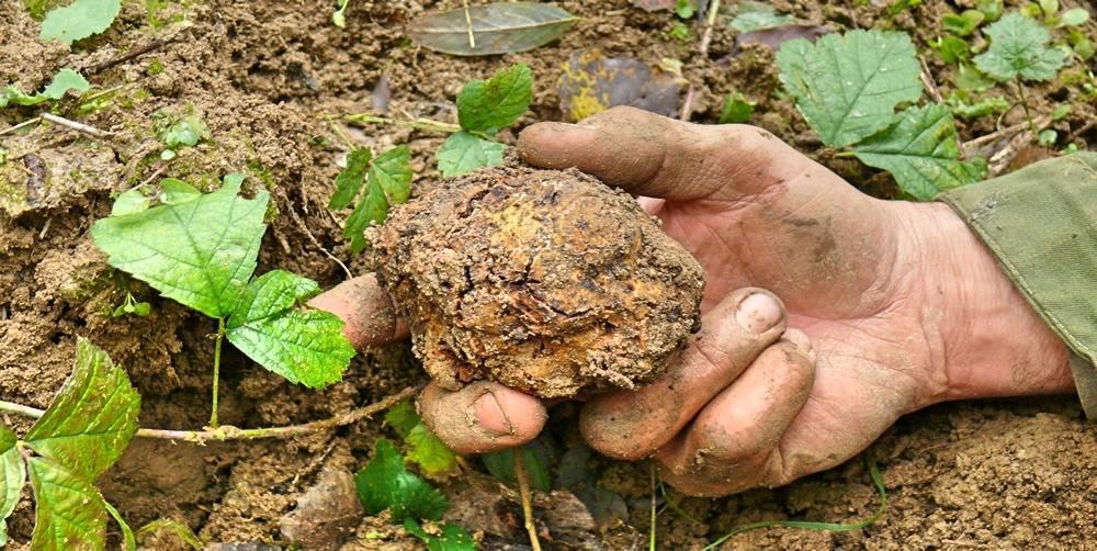 Pensjonat Profumi... Vinchio Zewnętrze zdjęcie
